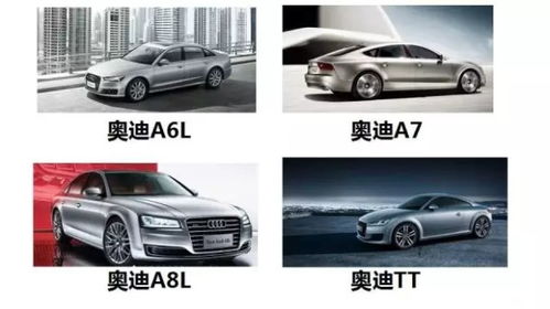 广东中奥奥迪汽车租赁部即将盛大开业，豪华出行新篇章由此开启