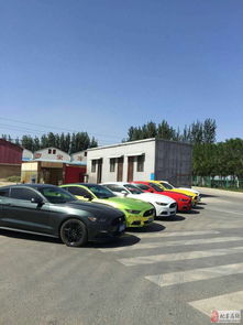 婚车租赁与汽车广告宣传 装饰材料选择的双赢之道